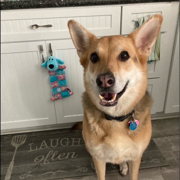 Meet your Posher, Jennifer - Picture 1 of 1